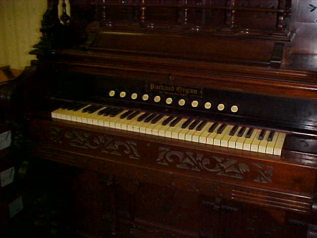 Packard Reed Organ