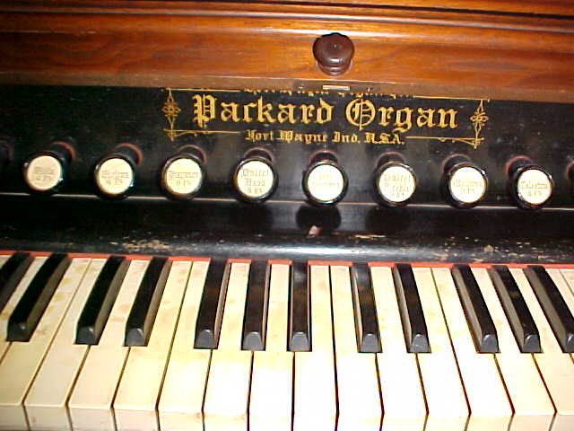 Packard Reed Organ