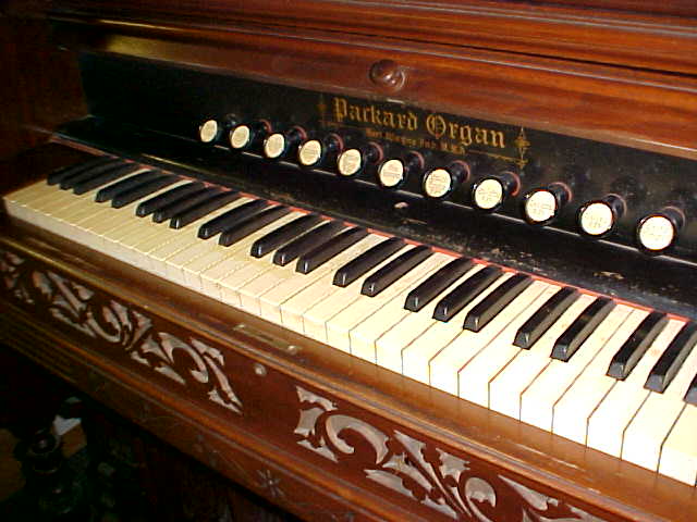 Packard Reed Organ