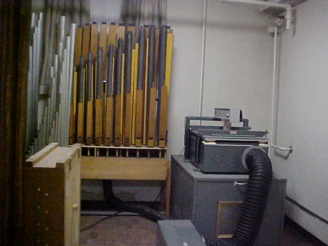 Organ Parts