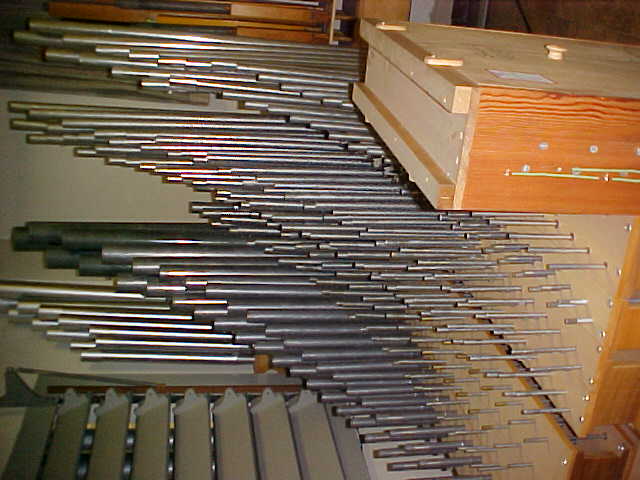 Organ Parts