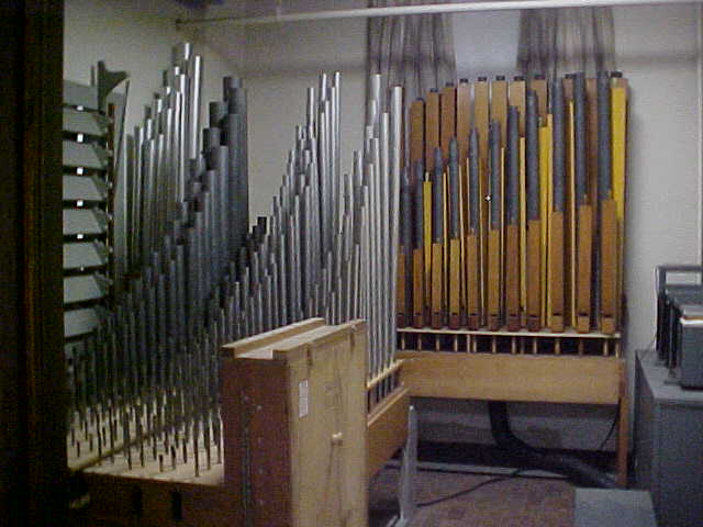 Organ Parts
