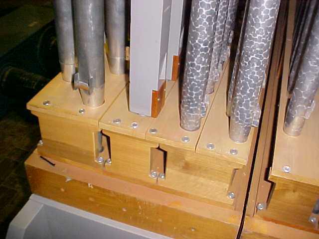 Organ Parts