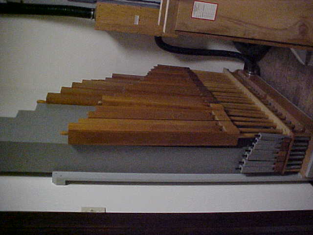 Organ Parts