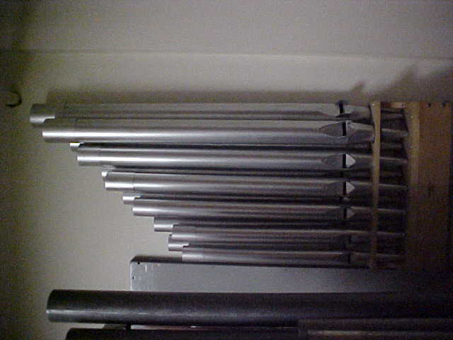 Organ Parts