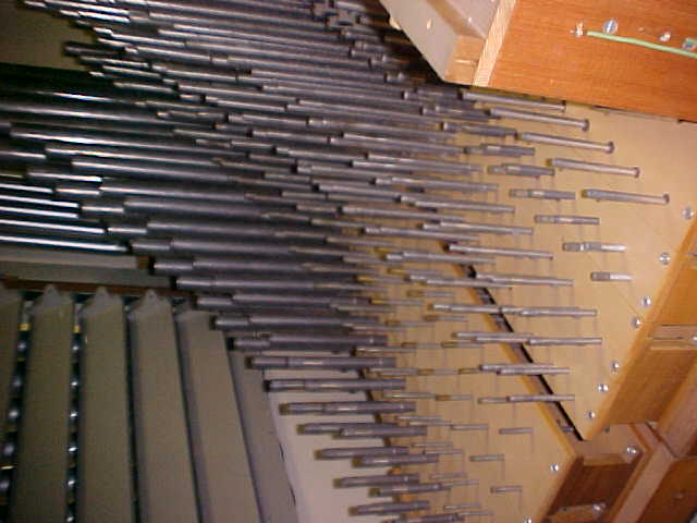 Organ Parts