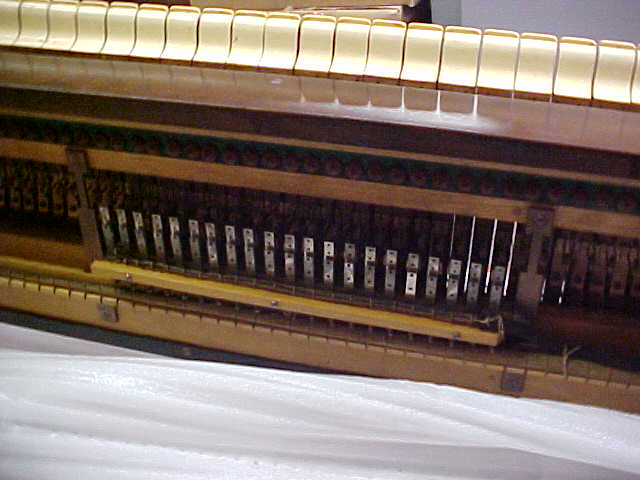 Bourdon Toes