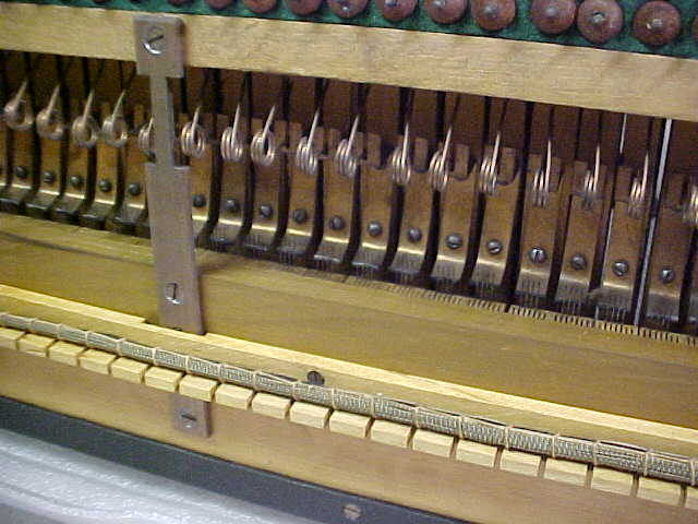 Bourdon Toes